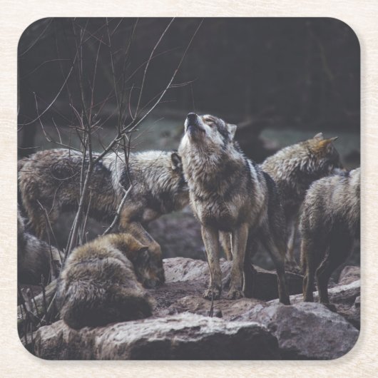 Wolf Pack Rechteckiger Pappuntersetzer (Vorderseite)