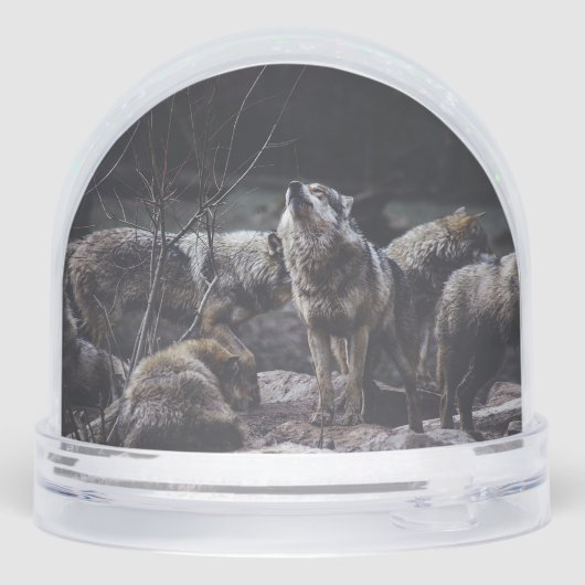 Wolf Pack Schneekugeln (Rückseite)
