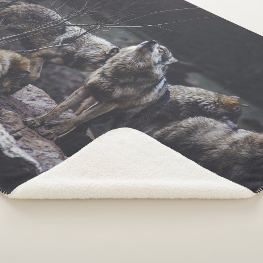 Wolf Pack Sherpadecke (3/4)