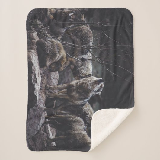 Wolf Pack Sherpadecke (Vorderseite)