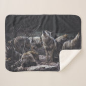 Wolf Pack Sherpadecke (Vorderseite (Horizontal))