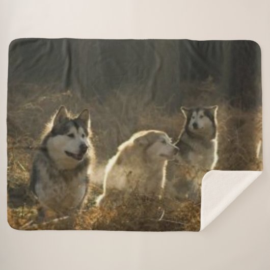 WOLF PACK SHERPADECKE (Vorderseite (Horizontal))