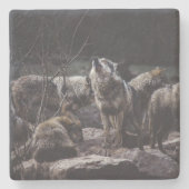 Wolf Pack Steinuntersetzer (Vorderseite)