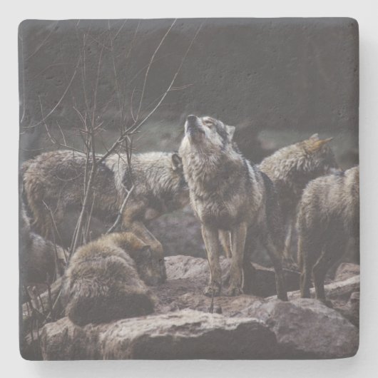 Wolf Pack Steinuntersetzer (Vorderseite)