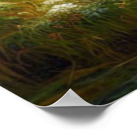 Wolf Pack Wolves Stream Nature Wildlife Poster (Ecke)