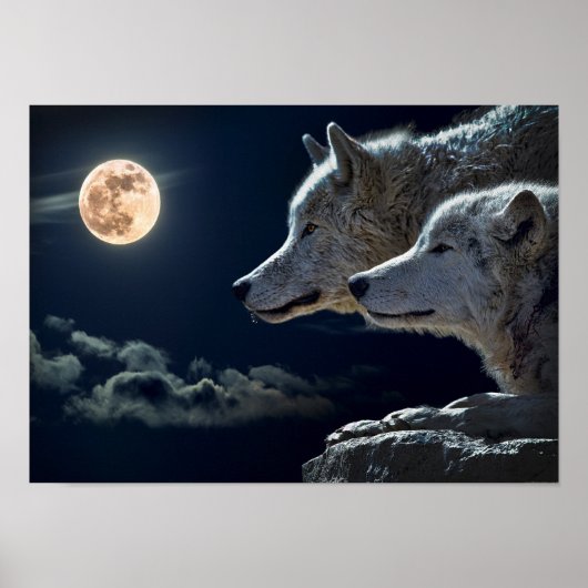 Wolf Pair Moon Night Gothic Fantasy Poster (Vorne)