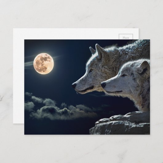 Wolf Pair Moon Night Gothic Fantasy Postkarte (Vorne/Hinten)