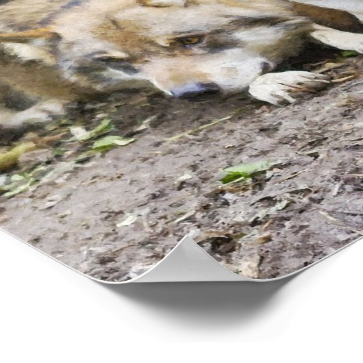 Wolf Pair Ruhen im Wald Wildlife Poster (Ecke)