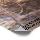 WOLF PEN MILL POSTER (Ecke)