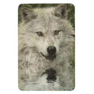 Wolf Pencil Zeichne Art Magnet