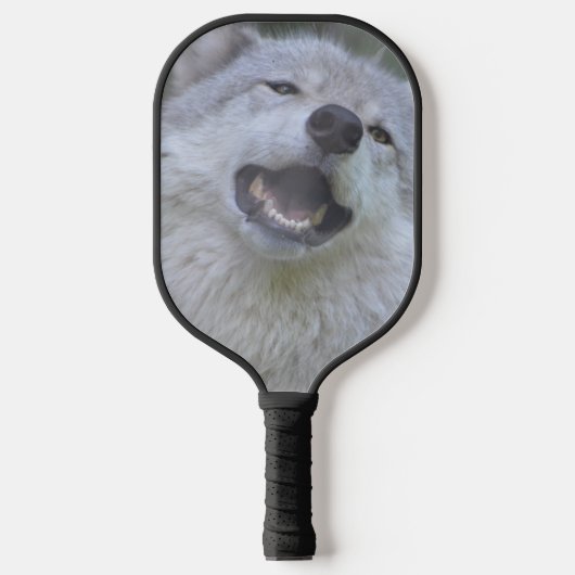 Wolf-Pickleball-Schläger Pickleball Schläger (Vorderseite)