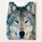 Wolf Planer (Rückseite)