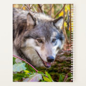 Wolf-Planer 2024 Planer (Rückseite)
