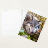 Wolf-Planer 2024 Planer (Anzeige)