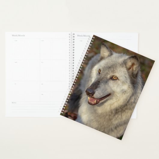 Wolf-Planer 2024 Planer (Anzeige)
