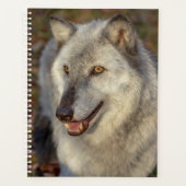 Wolf-Planer 2024 Planer (Vorderseite)