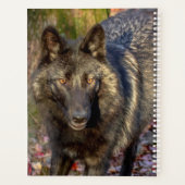 Wolf-Planer 2024 Planer (Rückseite)