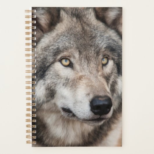 Wolf Planner Planer (Vorderseite)