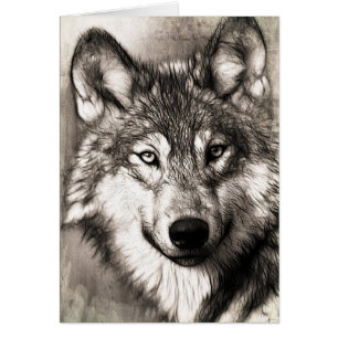 Wolf-Portrait