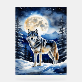 Wolf Portrait Acrylschild