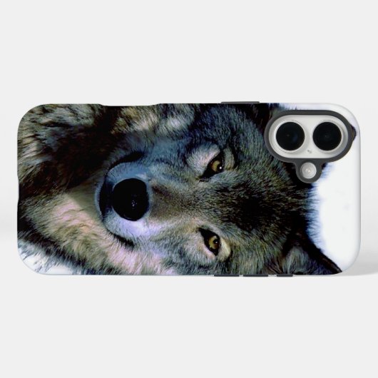Wolf Portrait Case-Mate iPhone Hülle (Rückseite (Horizontal))
