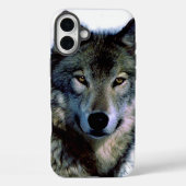 Wolf Portrait Case-Mate iPhone Hülle (Rückseite)