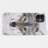 Wolf Portrait Case-Mate iPhone Hülle (Rückseite (Horizontal))
