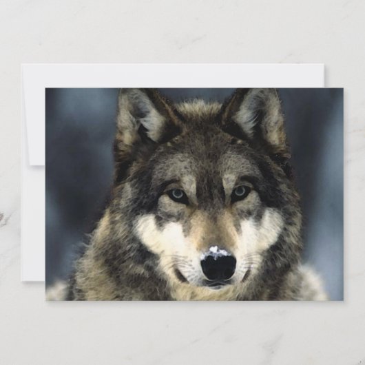 Wolf-Portrait-Einladung Einladung (Vorderseite)