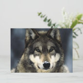Wolf-Portrait-Einladung Einladung (Stehend Vorderseite)