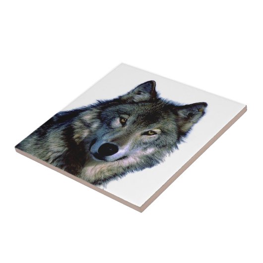 Wolf Portrait Fliese (Seite)