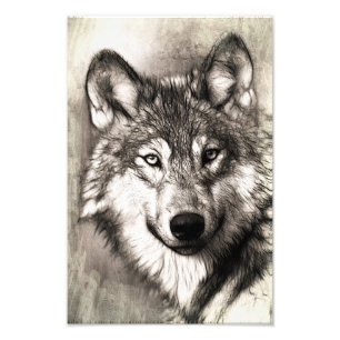 Wolf-Portrait Fotodruck