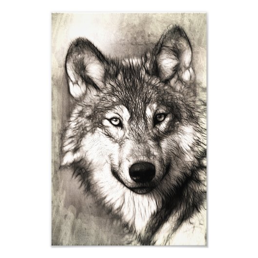 Wolf-Portrait Fotodruck (Vorne)