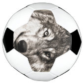 Wolf-Portrait Fußball (Gedreht)