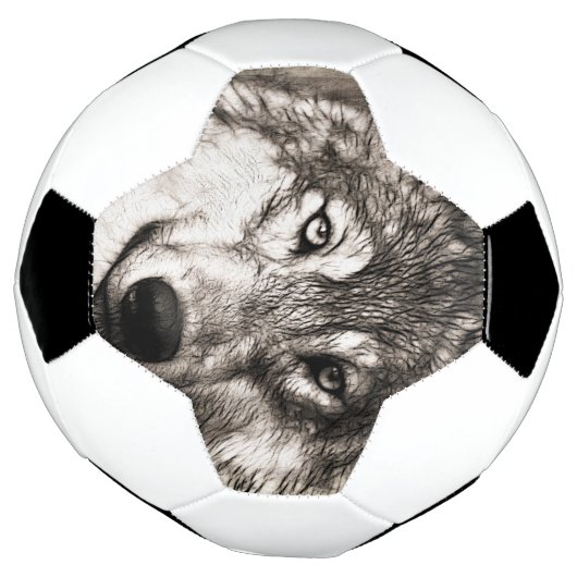 Wolf-Portrait Fußball (Gedreht)