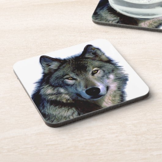 Wolf Portrait Getränkeuntersetzer (Linke Seite)