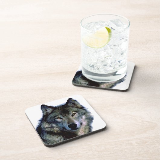 Wolf Portrait Getränkeuntersetzer (Rechte Seite)