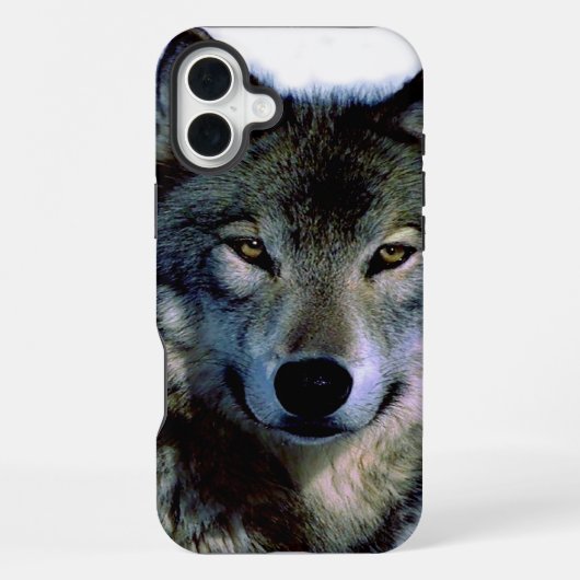 Wolf Portrait iPhone Hülle (Rückseite)