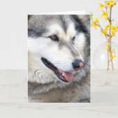 Wolf Portrait Karte (Gelbe Blume)