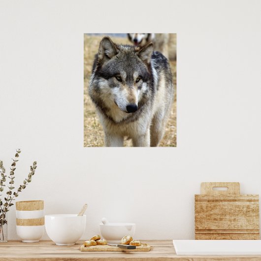 Wolf Portrait Poster (Küche)