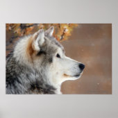 Wolf Portrait Poster (Vorne)