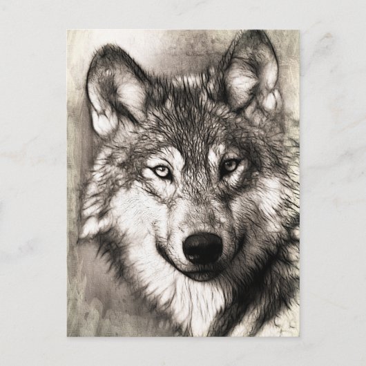 Wolf-Portrait Postkarte (Vorderseite)