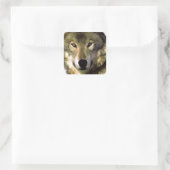Wolf Portrait Quadratischer Aufkleber (Tasche)