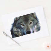 Wolf Portrait Rechteckiger Aufkleber (Umschlag)