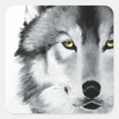 Wolf Portrait Schwarz-weiß Quadratischer Aufkleber (Vorderseite)