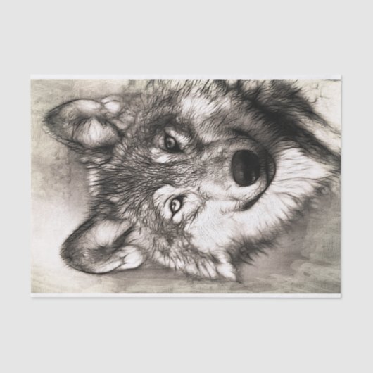 Wolf-Portrait Seidenpapier (Vorderseite)