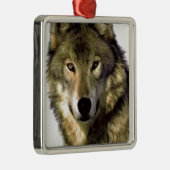 Wolf Portrait Silbernes Ornament (Rechts)