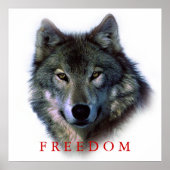 Wolf Portrait Square Freedom Poster Print (Vorne)