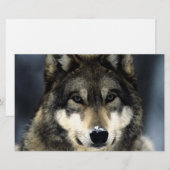Wolf Portrait Stationery Briefpapier (Vorne/Hinten)