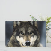 Wolf Portrait Stationery Briefpapier (Stehend Vorderseite)