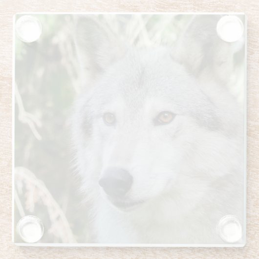 Wolf-Porträt Glasuntersetzer (Rückseite)